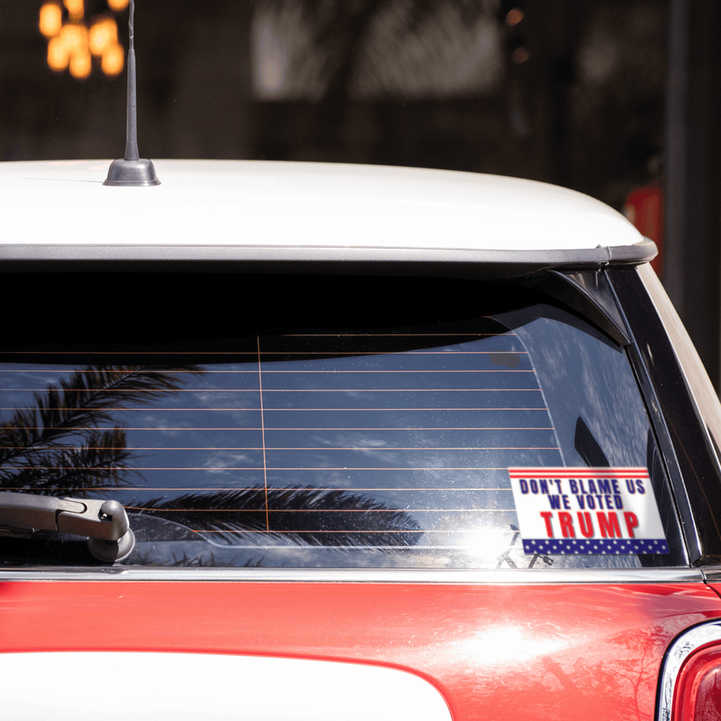 Don't Blame Us We Voted Trump Window Sticker Decals - LiberTee Shirts